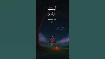 AMAZING - Surah Al-Qiyamah - [ 🤍🤍 ] تلاوات القارئ عبدالله محمد آدم