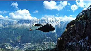Live Your Dream - Wingsuit - Motivation (Max Elto and Adventure Club)