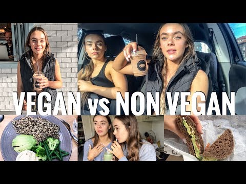 what-we-eat-in-a-day-(vlog)-//-mescia-twins