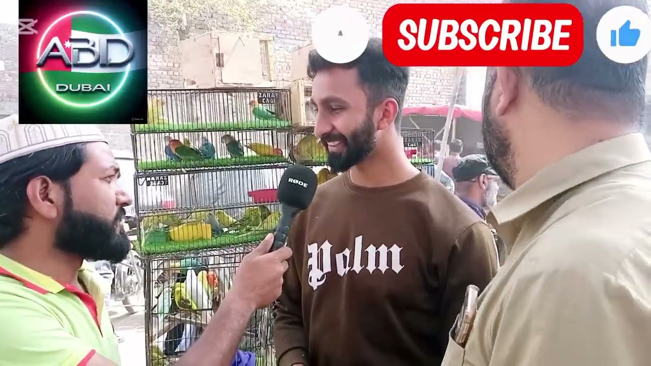 Shalamar bajari tote