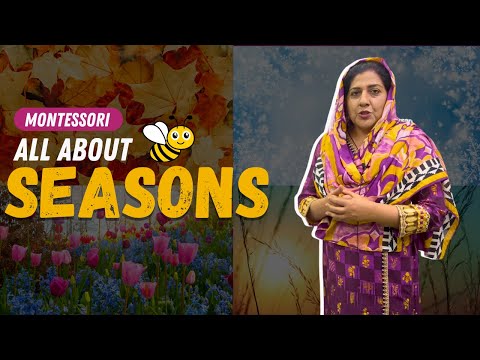 Concept of Seasons | Montessori | 4 Seasons