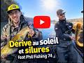 silures en dérive ensoleillée feat Phil fishing74