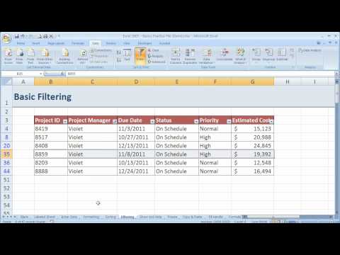 How to Filter in Excel 2007 (Excel 07-014)