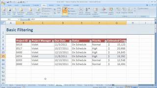 How to Filter in Excel 2007 (Excel 07-014)