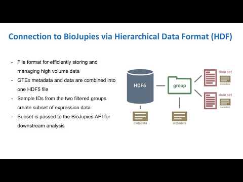 GTEx2BioJupies: Jupyter Notebook Analysis Reports from Interactive Selection of GTEx Portal Samples