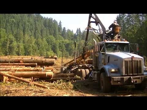 Self-Loading Log Trucks for Sale: Your Comprehensive Guide to Smart Logging Investments
