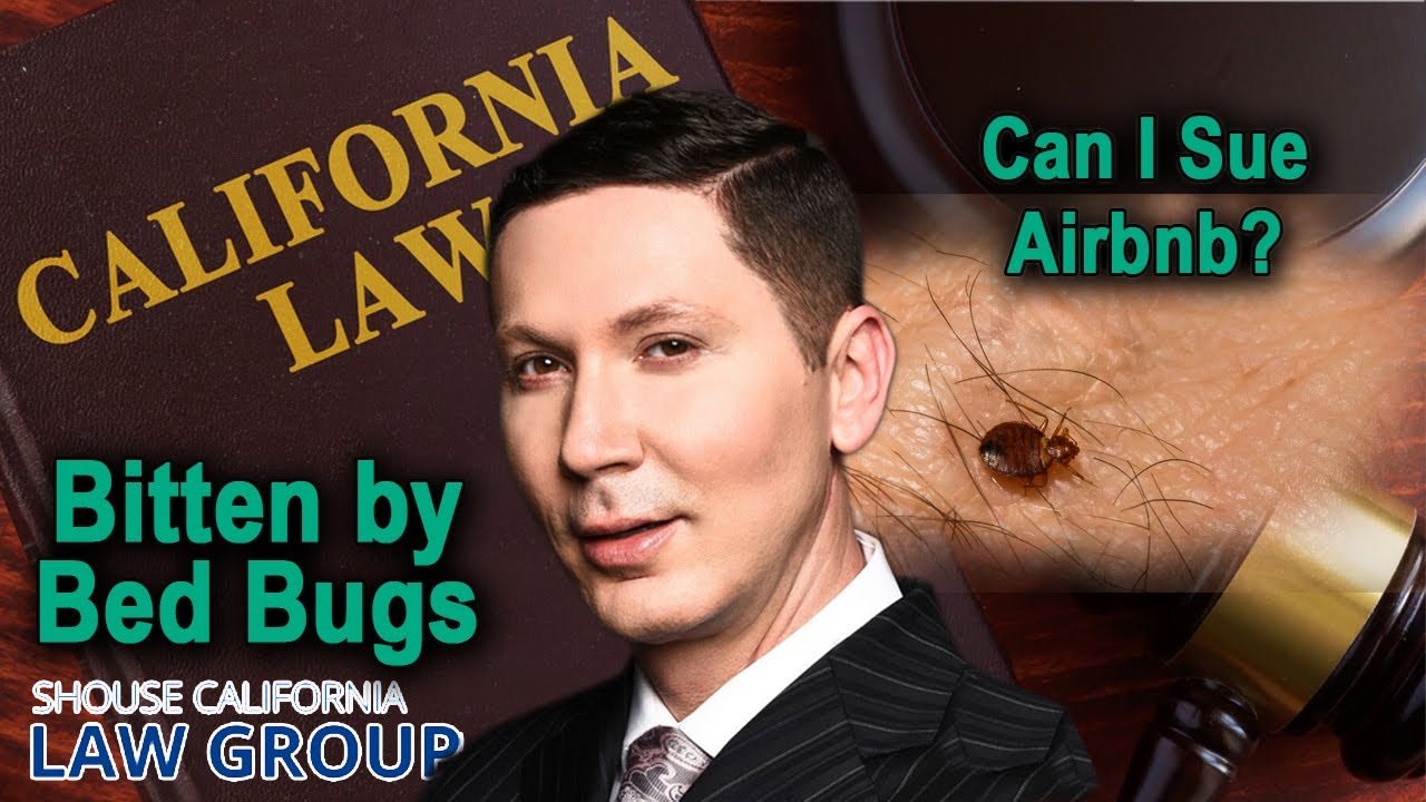 Can I sue Airbnb if I was bitten by bed bugs during a stay? YouTube
