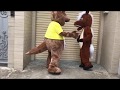 Mascot con kangaroo - Mascot kangaroo costumes