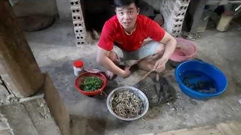 Goi Cá Nhảy Món Kinh Dị Nhất [Ẩm Thực Tay Bắc]