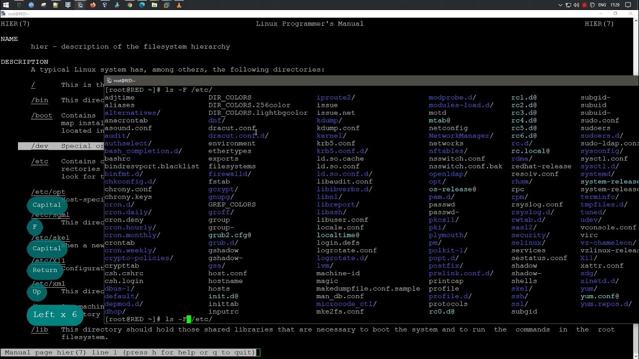 Программирование скриншот bash. Kali linux сравнение с ubuntu. Bash dev. Bash. Bash dev.