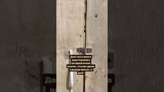 У вас есть такие родственники? #мебель #дизайнмебели #юмор