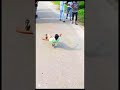 #skater #skatingchannel #ভিডিওটি_ভালো_লাগলে_অবশ্যই_চ্যানেলটি_সাবস্ক্রাইব_করবেন_ #skating #ভিডিও
