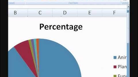 How to Create Graphs Using MS Excel 2007