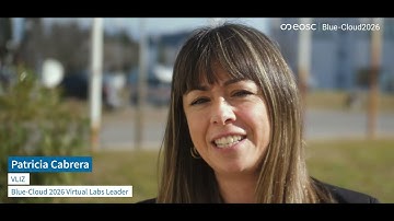 Measuring carbon-plankton dynamics by combining data types - Patricia Cabrera (VLIZ)