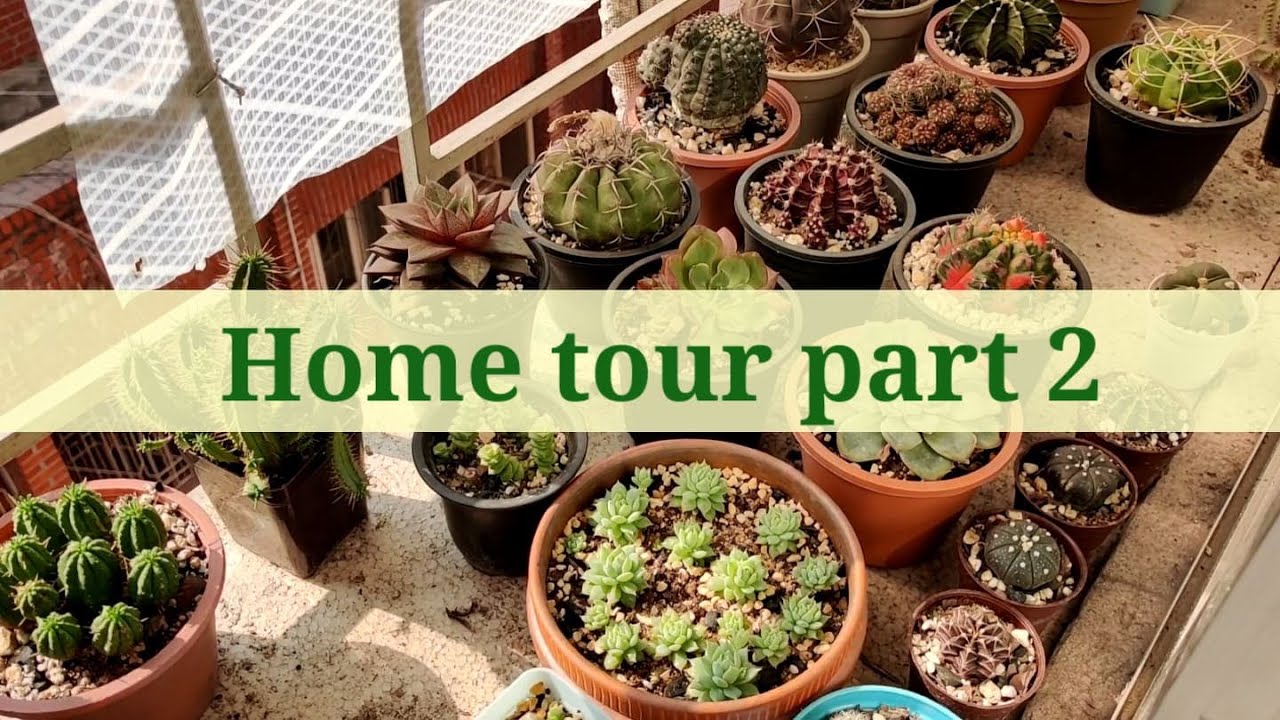 Home tour part 2 - YouTube