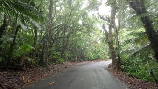 Uphill El Yunque, Rio Grande Puerto Rico 🇵🇷