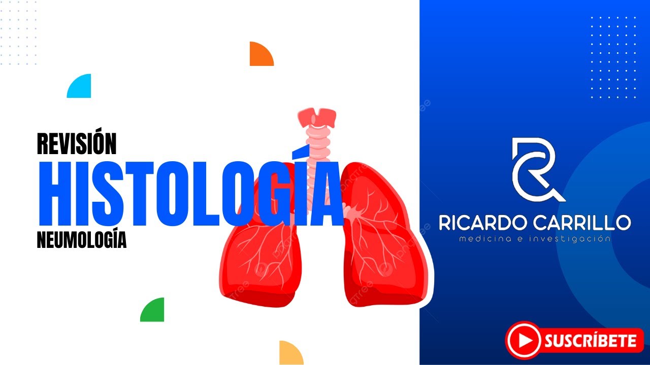 Histología del sistema respiratorio l Neumología