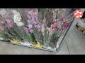 Очень много орхидей в уценке в магазине Флорэвиль в Москве