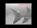 Sturgeon Spearing 2023 Day 3 Wmv 2 Sturgeon Spearing 2023 Day 3 Wmv 2