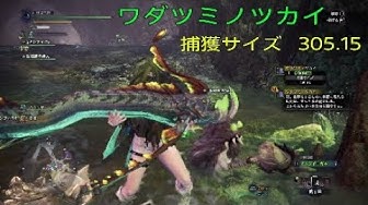 ワダツミノツカイ Youtube ワダツミノツカイ Youtube