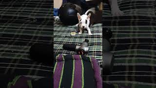 Jerry Mager Ka Sath Khal Rahi Hai D