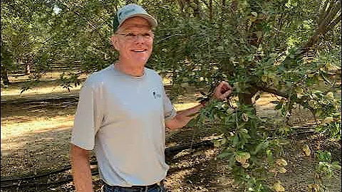 FoA 262: Specialty Crops and Agtech with Allan Fet...