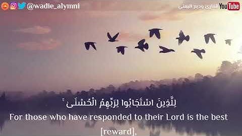 تلاوة رائعه | القارئ وديع اليمني | عطر مسمعك ^