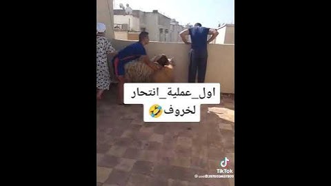 حدث صادم خروف العيد قفز عن سطح المبنى