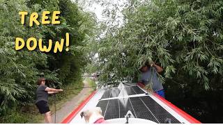 We Just Wanted to Get Out of Loughborough! | Fallen Tree, Wasps & Trouble on the Canal
