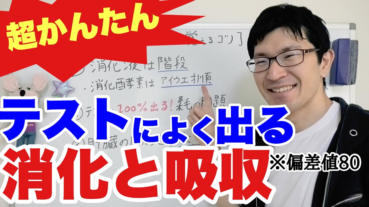 中2理科 消化と吸収のテストによく出る問題を一瞬で覚える Youtube