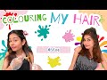 Colouring my hairs | Gangotri Dholakia | Vlog
