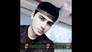 🌹🥀🌹Бехтарин🌹 мавлуд🌹