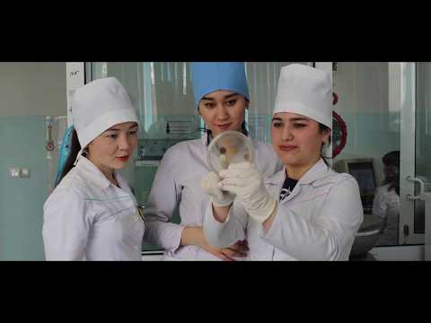 Ташкентская медицинская академия Промо видео