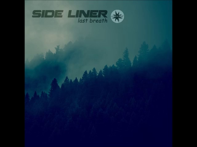 Side Liner - Retrorganic