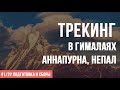 01/22 (Подготовка и сборы) - Трек вокруг Аннапурны - Непал Аннапурна Трек