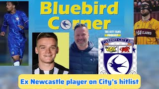 Cardiff City Have Their Sights On Signing Ex Newcastle United Player