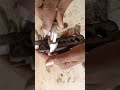 1/2 Copper Pipe Ka Perfect Flare Banane Ka Tarika By AC Technician 👨‍🔧❄️