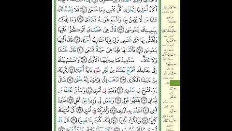 الصفحة (313) من المصحف الشريف ( سورة طه - مشروع حفظ القرآن الكريم )