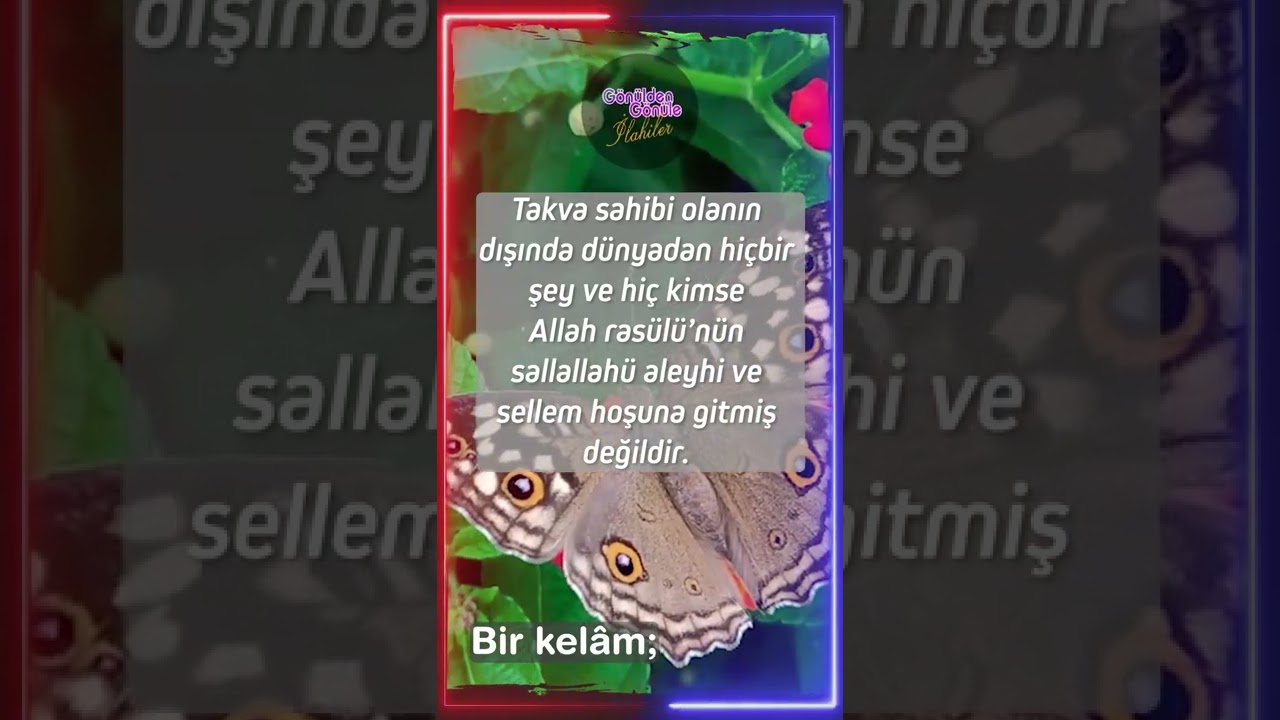 Hayırlı Sabahlar / Allah Allah Diyenler İçin Bir Güzel İlahi #ilahi #ilahiler