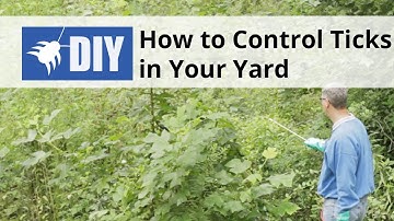 How to Control Ticks in Your Yard - Outdoor Tick Control | DoMyOwn.com