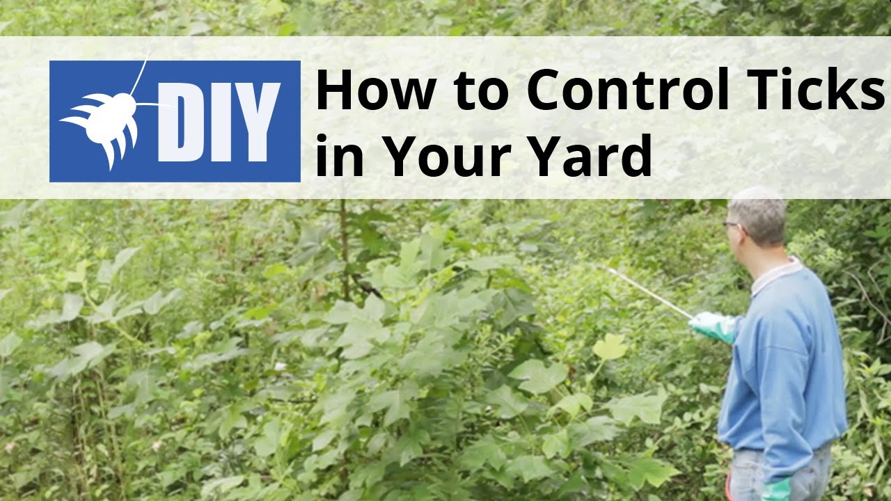 How To Control Ticks In Your Yard - Outdoor Tick Control | Domyown.Com