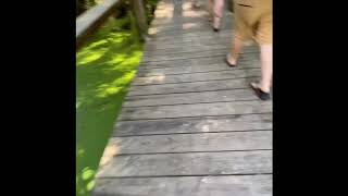 July 18, 2020 - Tubing at Edisto River South Carolina