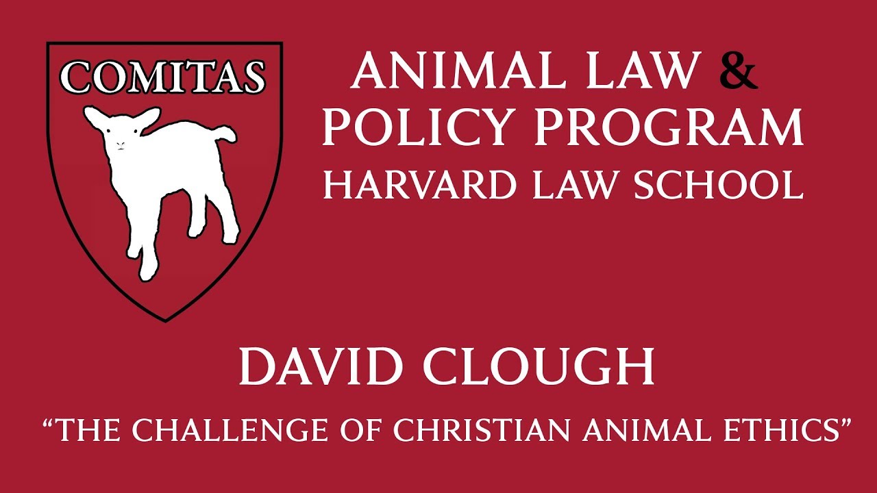 The Challenge of Christian Animal Ethics