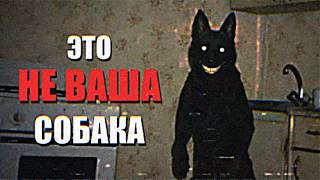Как распознать симулякра