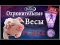 Успех! Гороскоп на 2019 год Весы