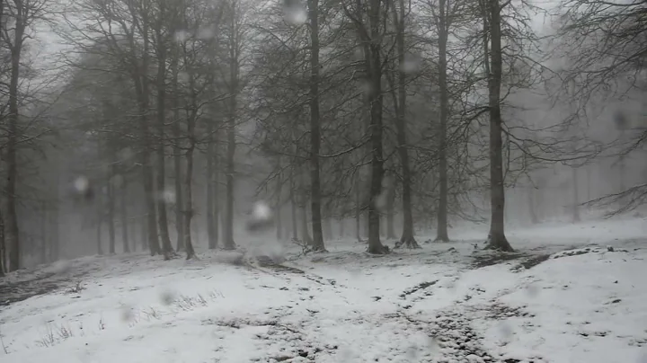 Tenperatura hotza, elur bustia..Errenaga.