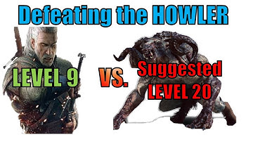 Mysterious Tracks Howler at Low LEVEL 9: Witcher 3 Wild Hunt