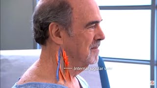 Examination of the jugular venous pulse / JVP examination Procedure video