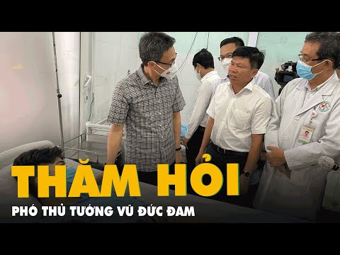 Video Phó thủ tướng Vũ Đức Đam thăm hỏi nạn nhân vụ cháy... - youtube