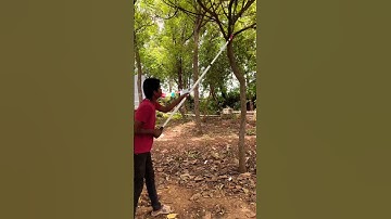 Telescopic Pruning Saw Rs.2800, 15feet handle, 9787672239, Melur, Madurai #pruning #saw #garden